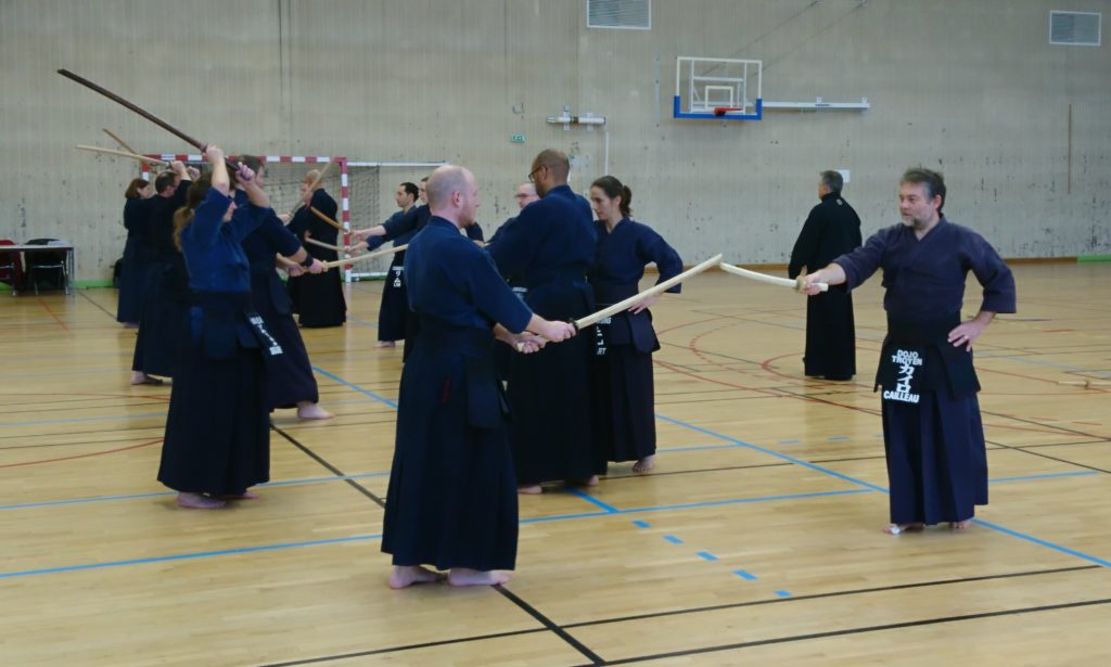 Stage enseignant Dojo Troyen